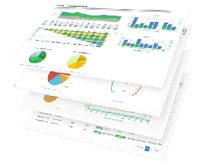 Revenue Performance Management: CPM Solutions with Vena