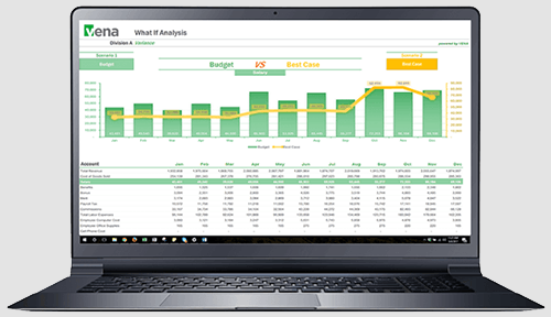 Reporting and Analytics: Vena CPM Solutions